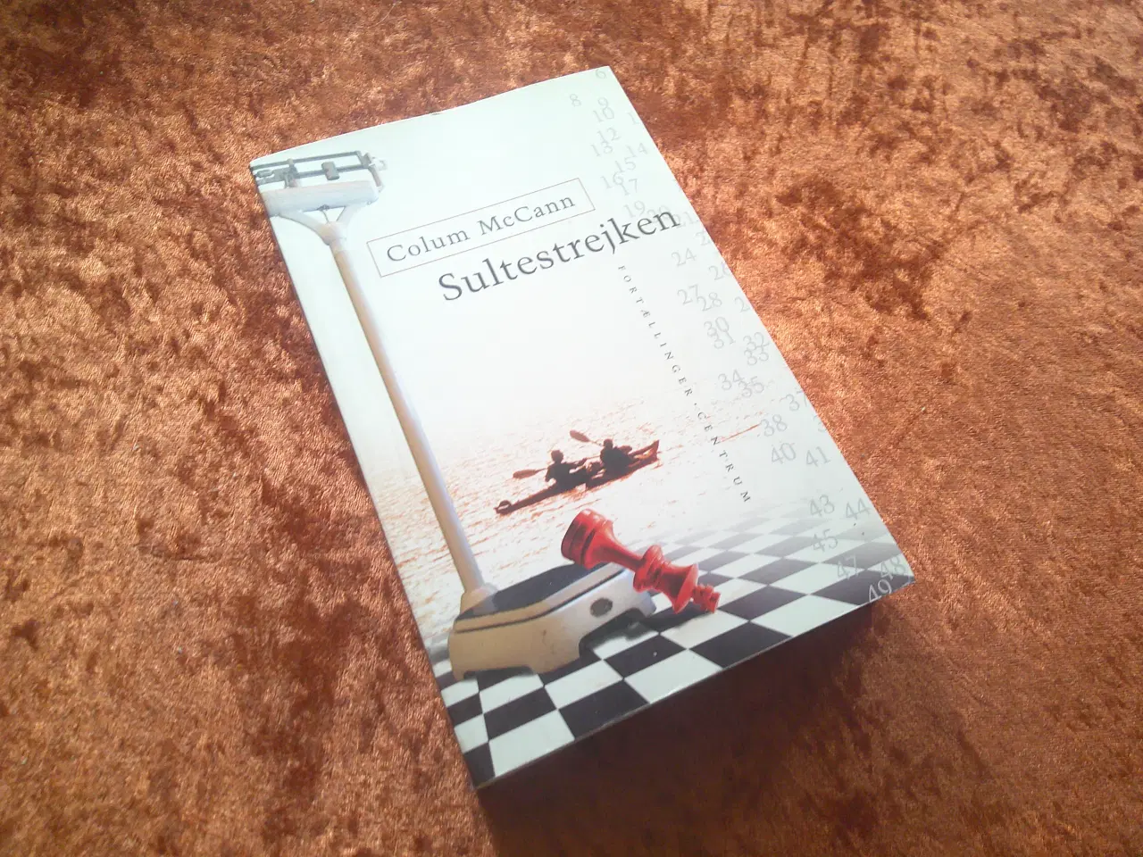 Billede 1 - Sultestrejken, Colum McCann