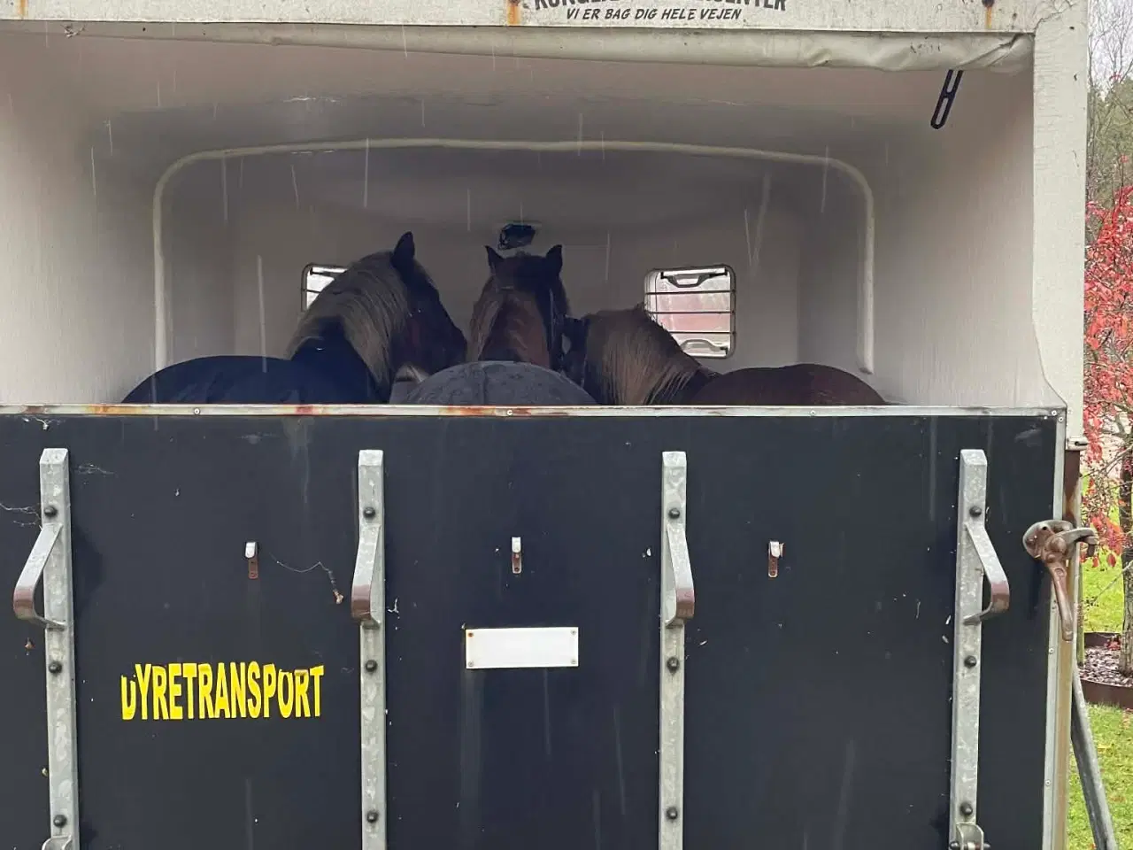 Billede 1 - 3 hestes trailer