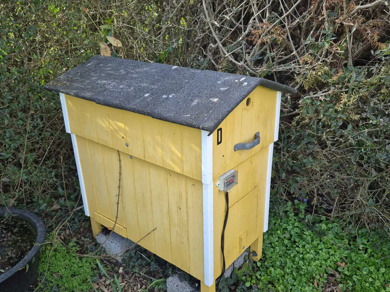 Billede 1 - Bier 12 x 10