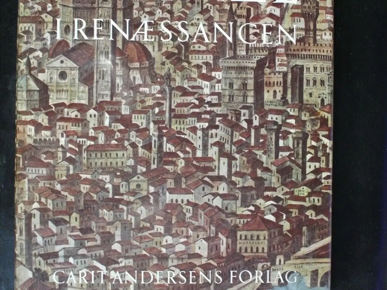 Billede 1 - firenze i renæssancen, emne: historie og samfund