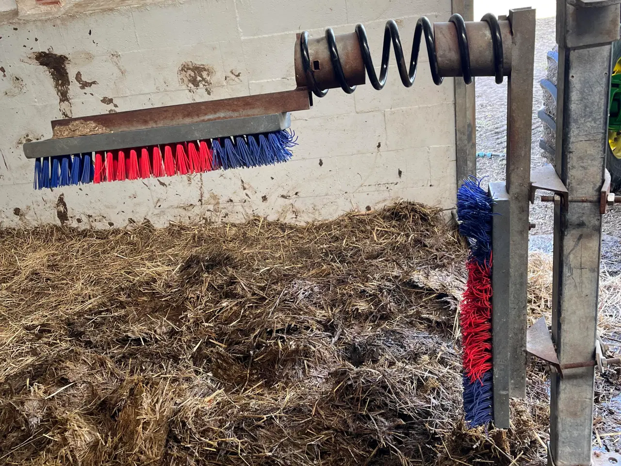 Billede 7 - Dan Egtved kvæginventar