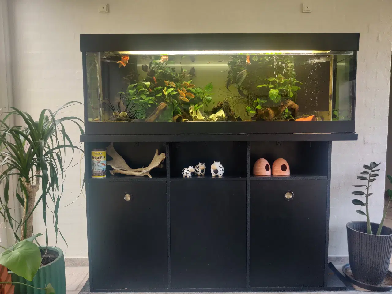 Billede 3 - Akvarium med fisk og tilbehør 