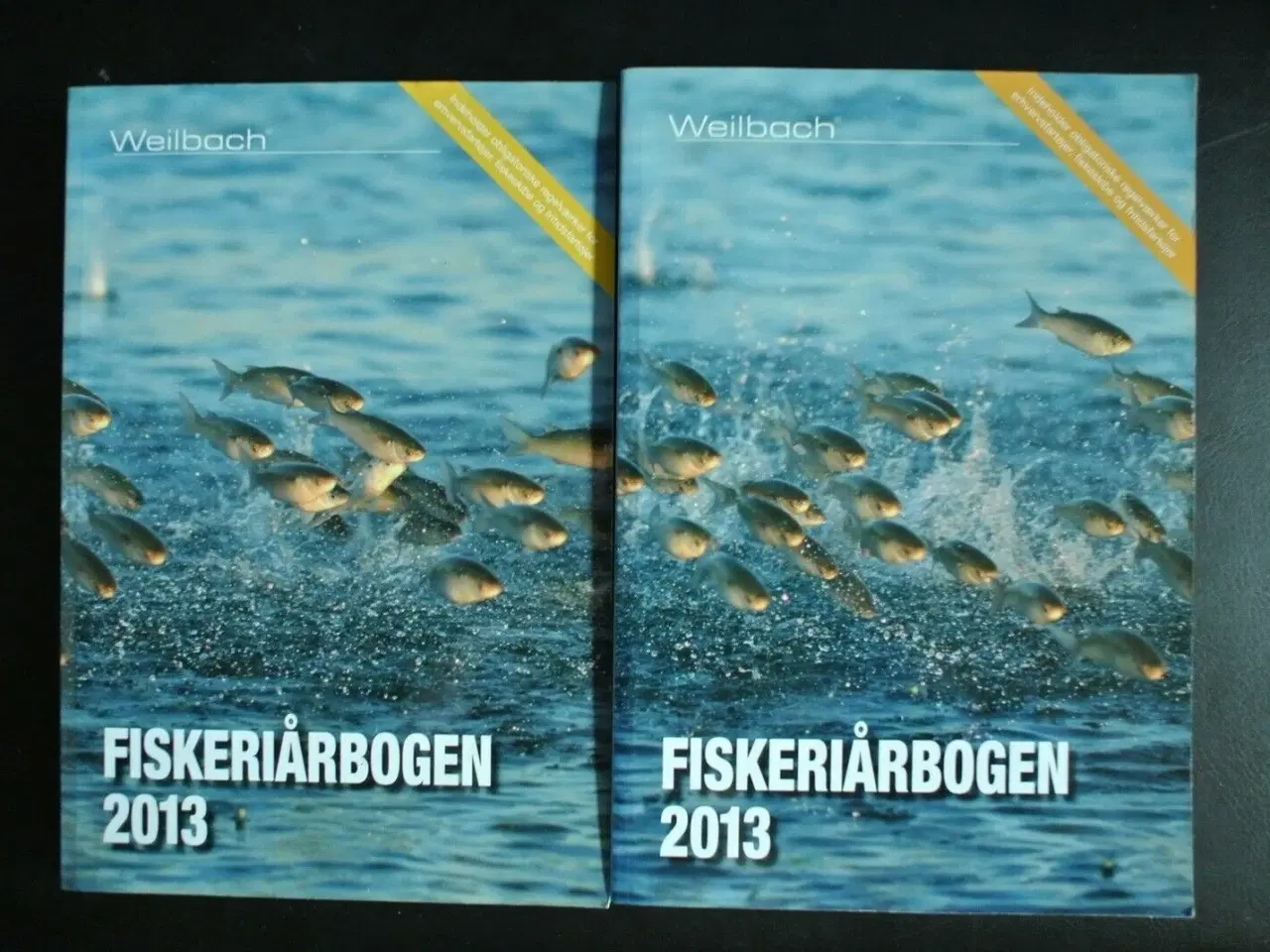 Billede 1 - fiskeriårbogen 1-2 2013 120. årgang emne skibsfart