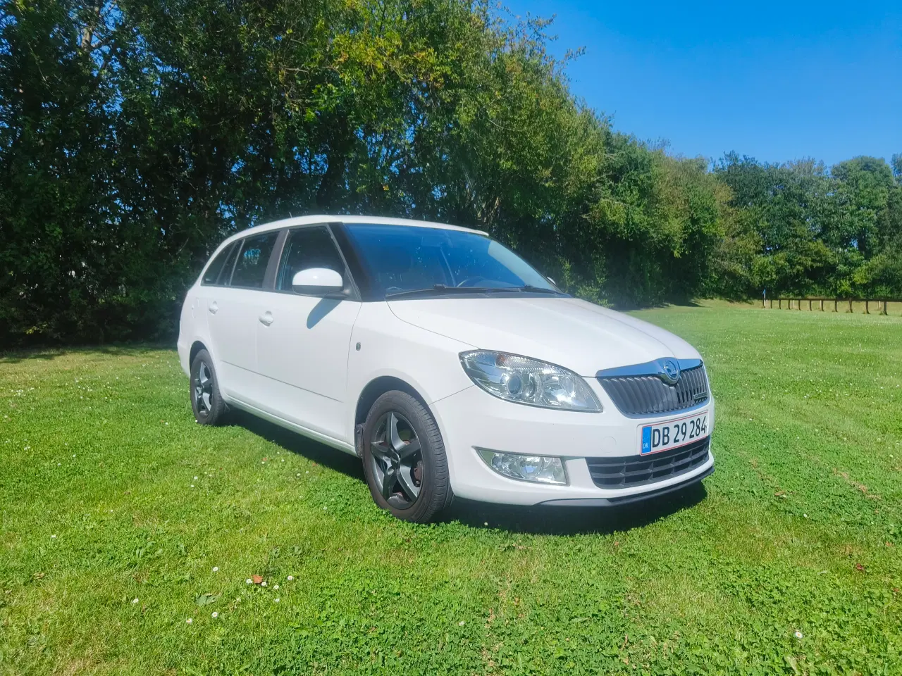 Billede 2 - Skoda Fabia 1,2 tdi greenline 2013 partikelfilter 