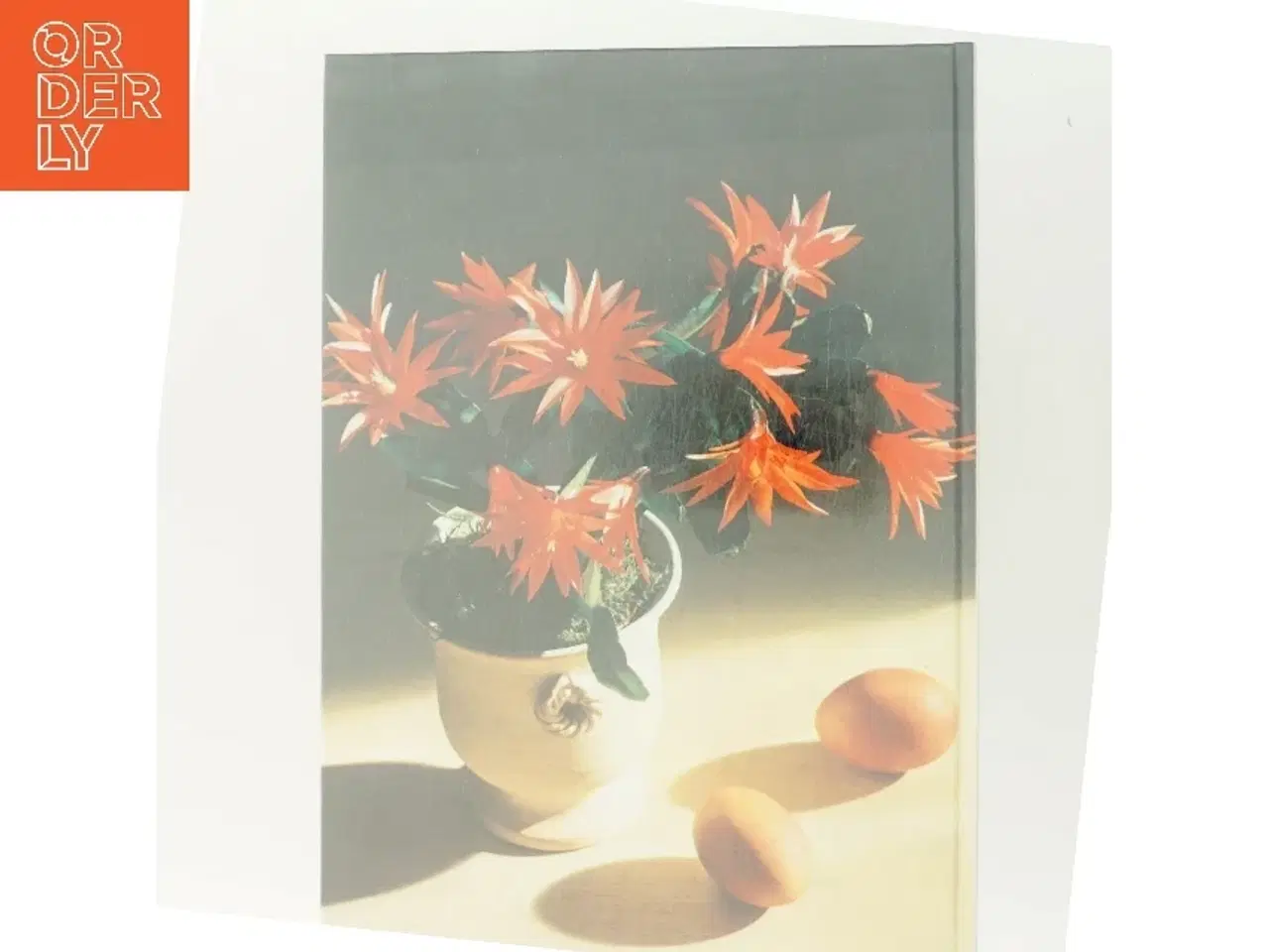 Billede 3 - Forår i huset af <Bogforfatter ukendt< (Bog)