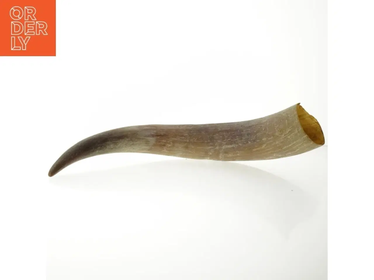 Billede 1 - Dekorativt horn