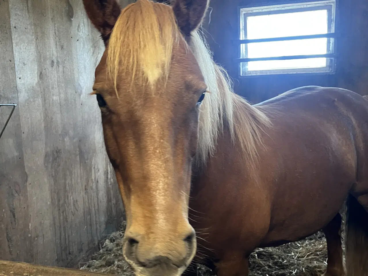 Billede 5 - Hurtigt salg ønskes 