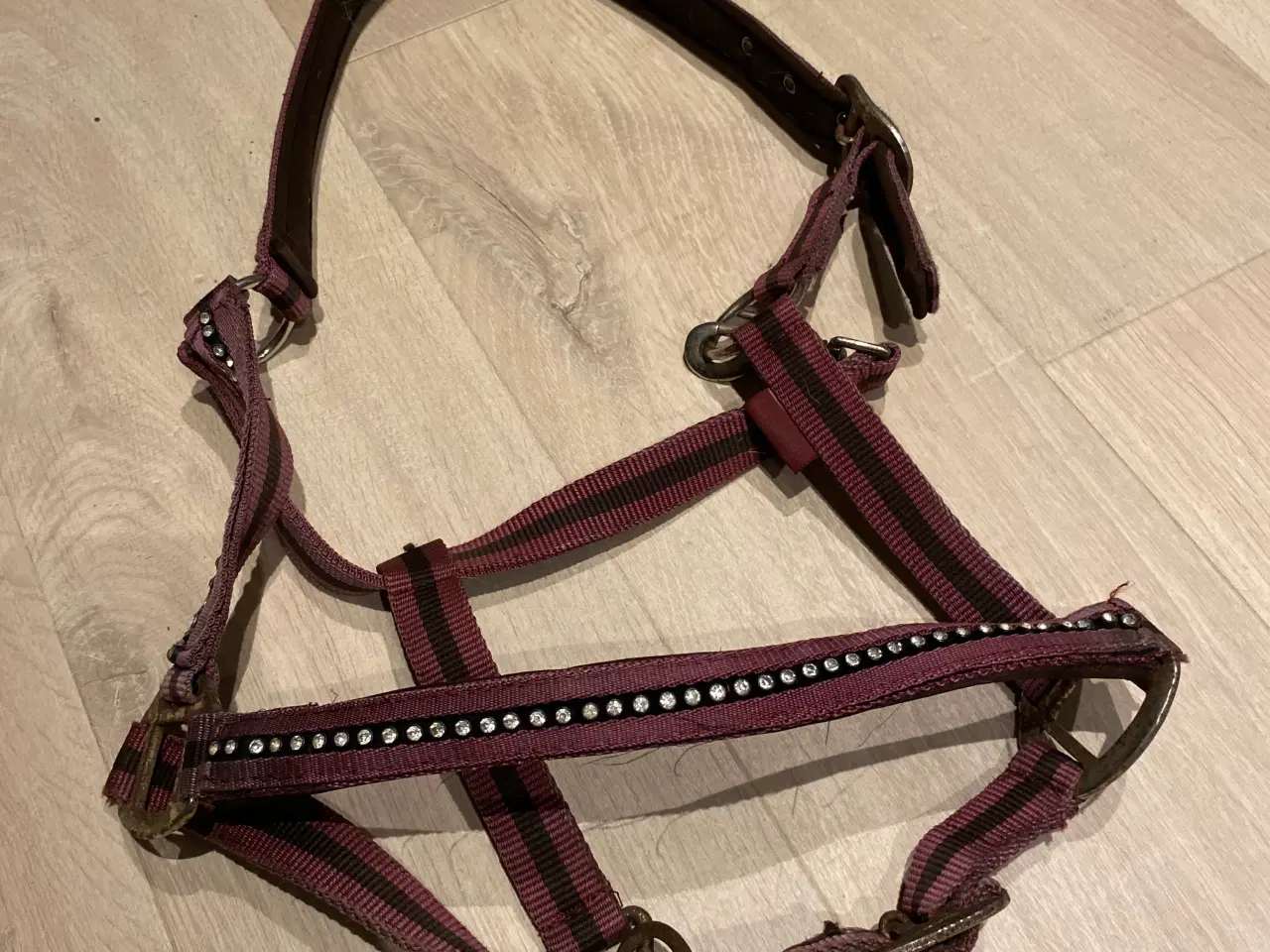 Billede 5 - Rideudstyr sælges 