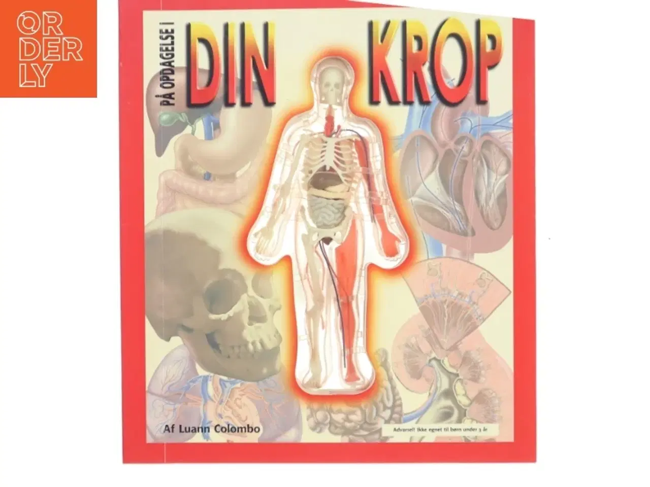 Billede 1 - På opdagelse i din krop af Luann Colombo (Bog)