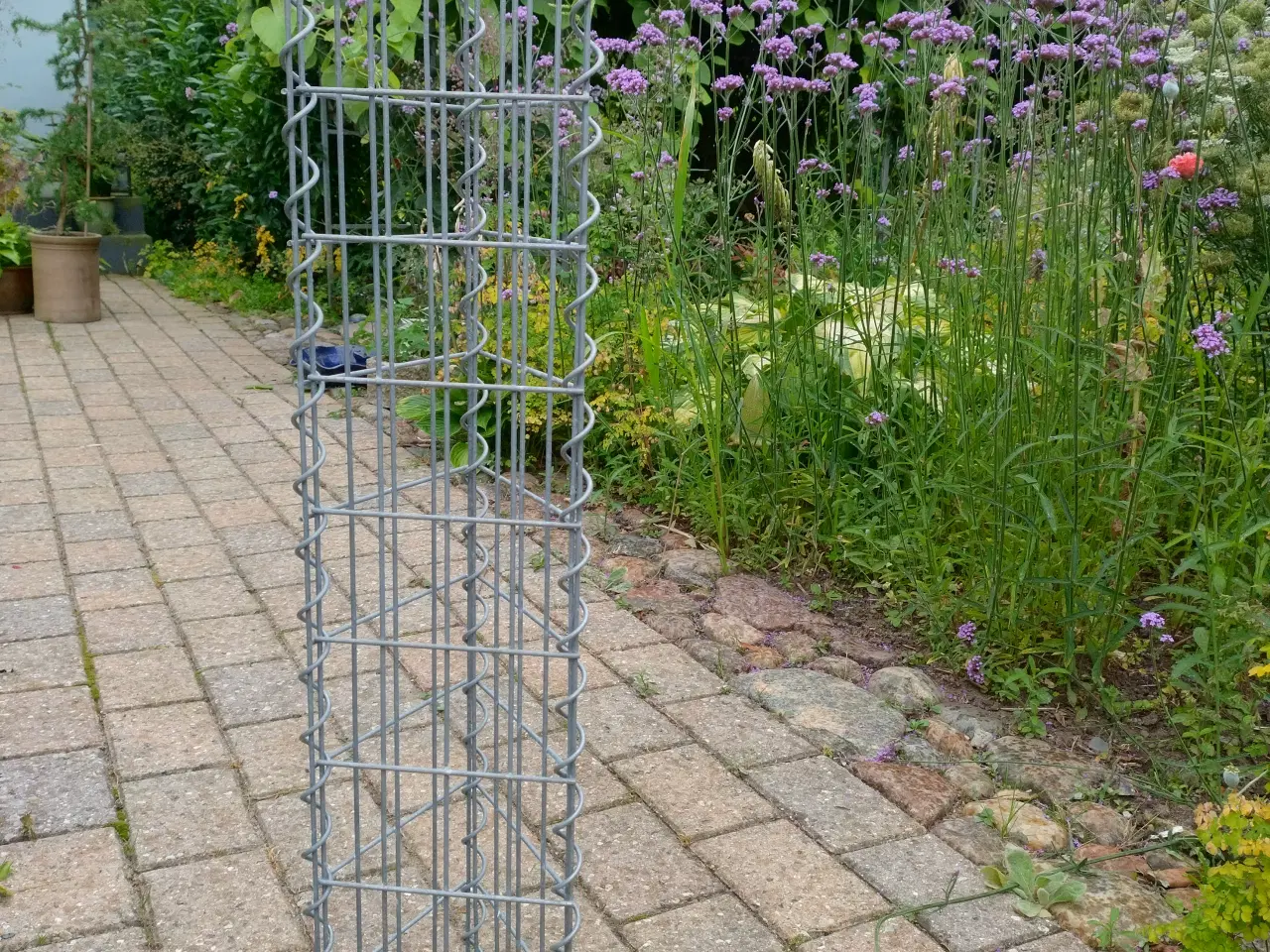 Billede 1 - Espalier i galvaniseret jern.