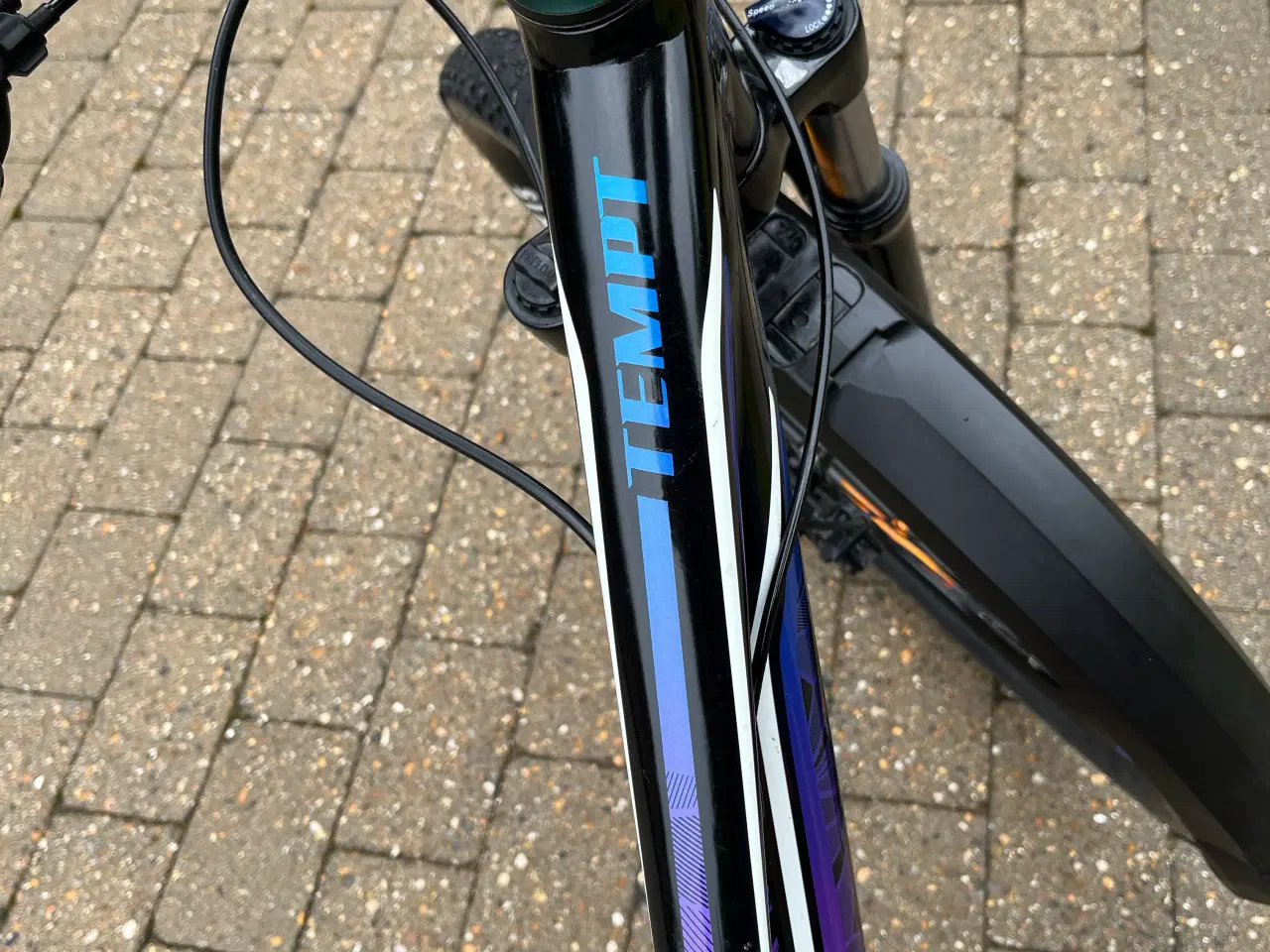 Billede 4 - MTB Giant liv-tempt