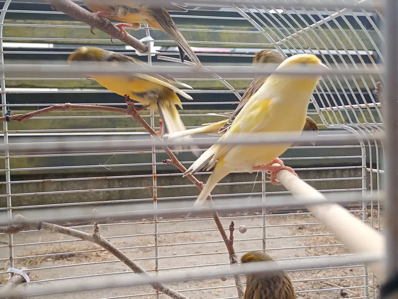 Billede 4 - Blandet farver/kobber