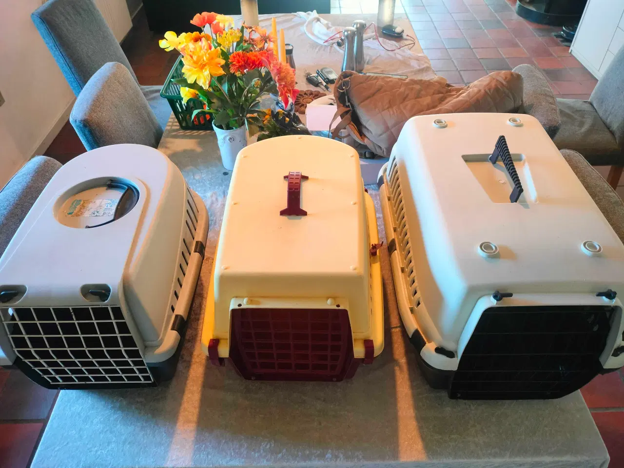 Billede 1 - Billige transportbure til kat/lille hund