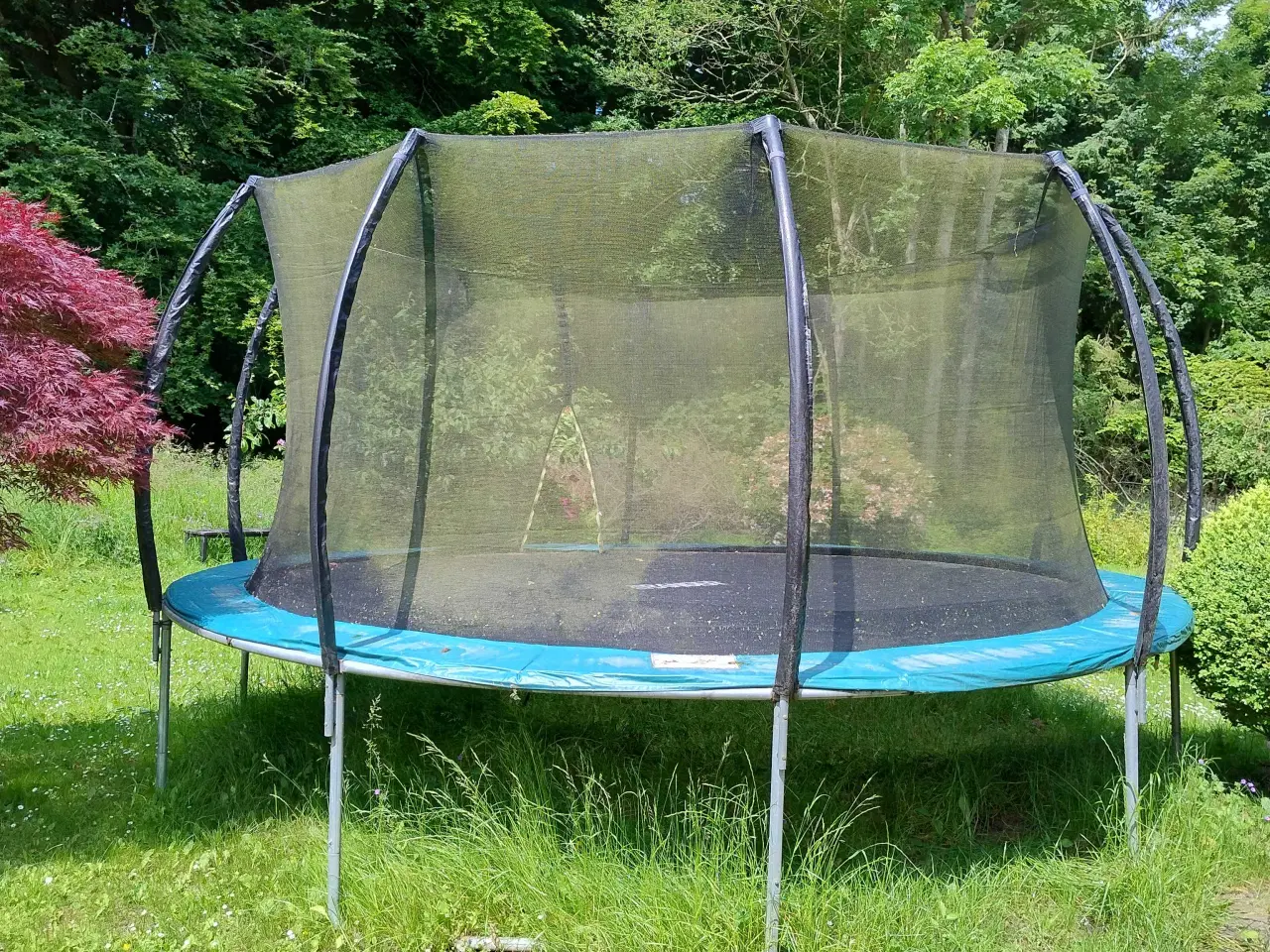 Billede 1 - Trampolin stor til god pris 