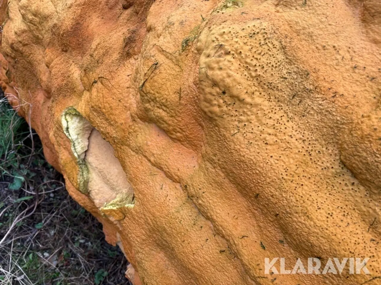 Billede 5 - Akkumuleringstank