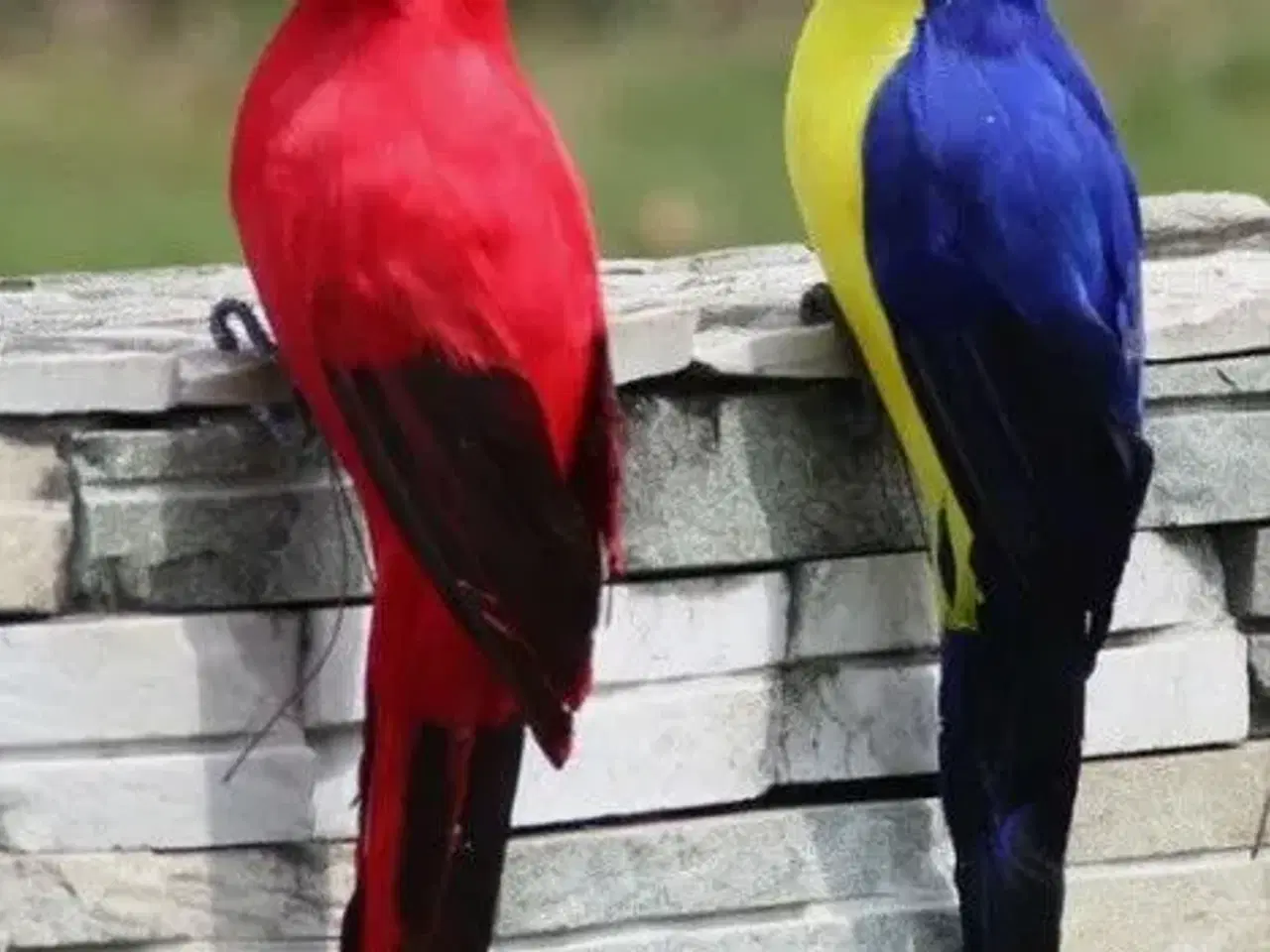 Billede 2 - Kunstige naturtro papegøjer