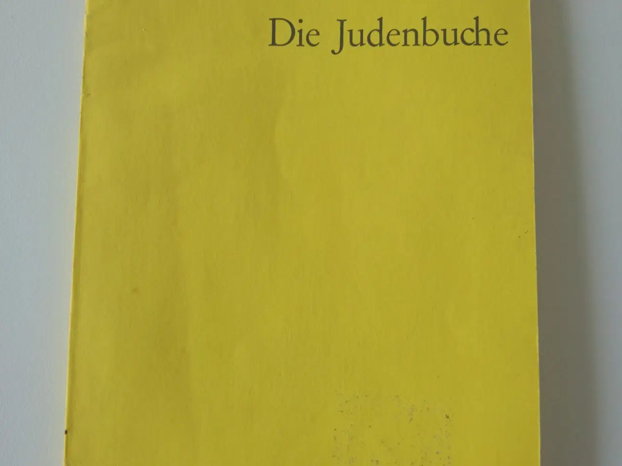 Billede 1 - Die Judenbuche - ein Sittengemälde aus dem Gebirgi