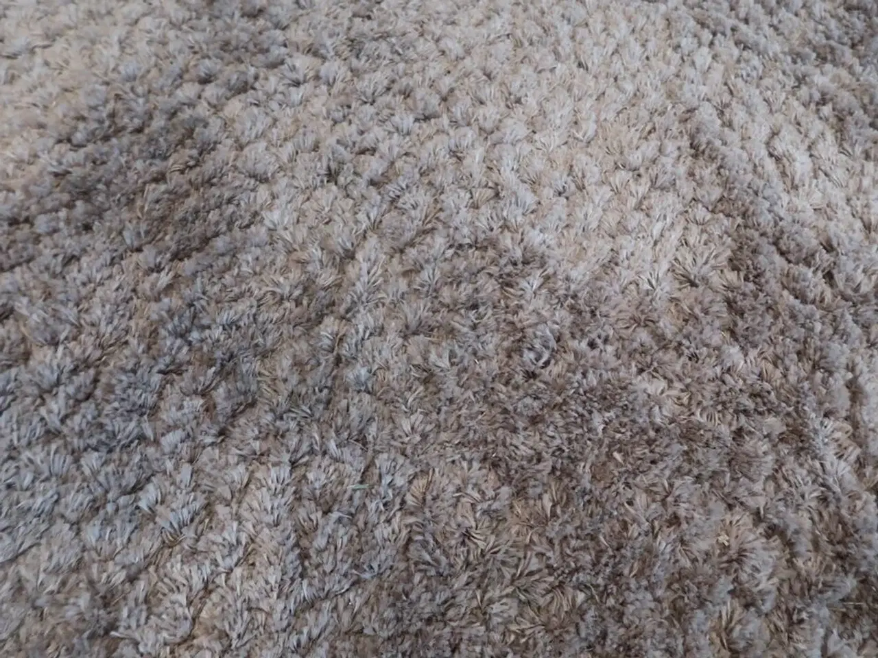 Billede 3 - Tæppe - 330x250 cm