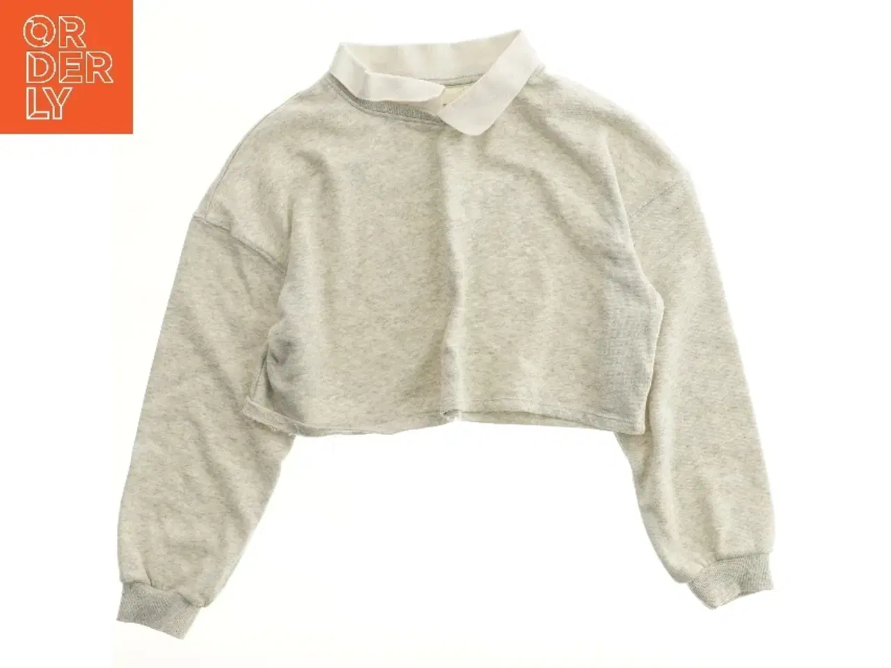 Billede 1 - Grå kort sweatshirt med krave fra H&M (str. 134)