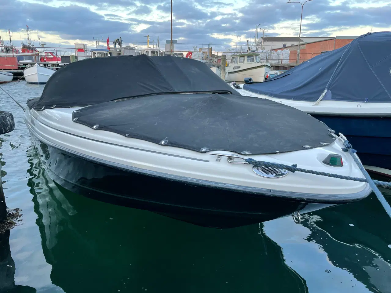 Billede 16 - Sea Ray 175 Sport 2007