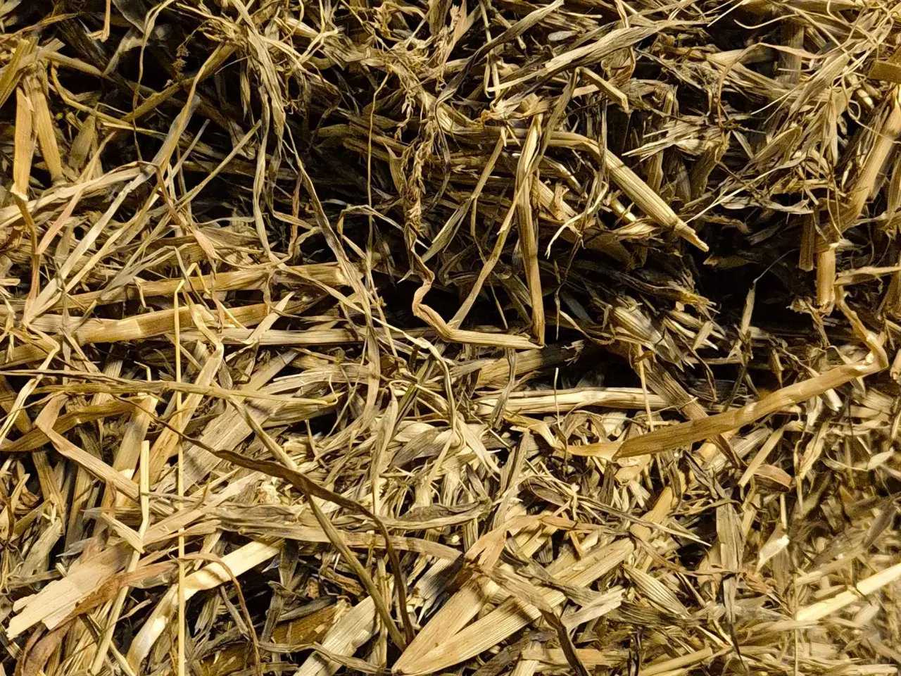 Billede 1 - Havrewrap 