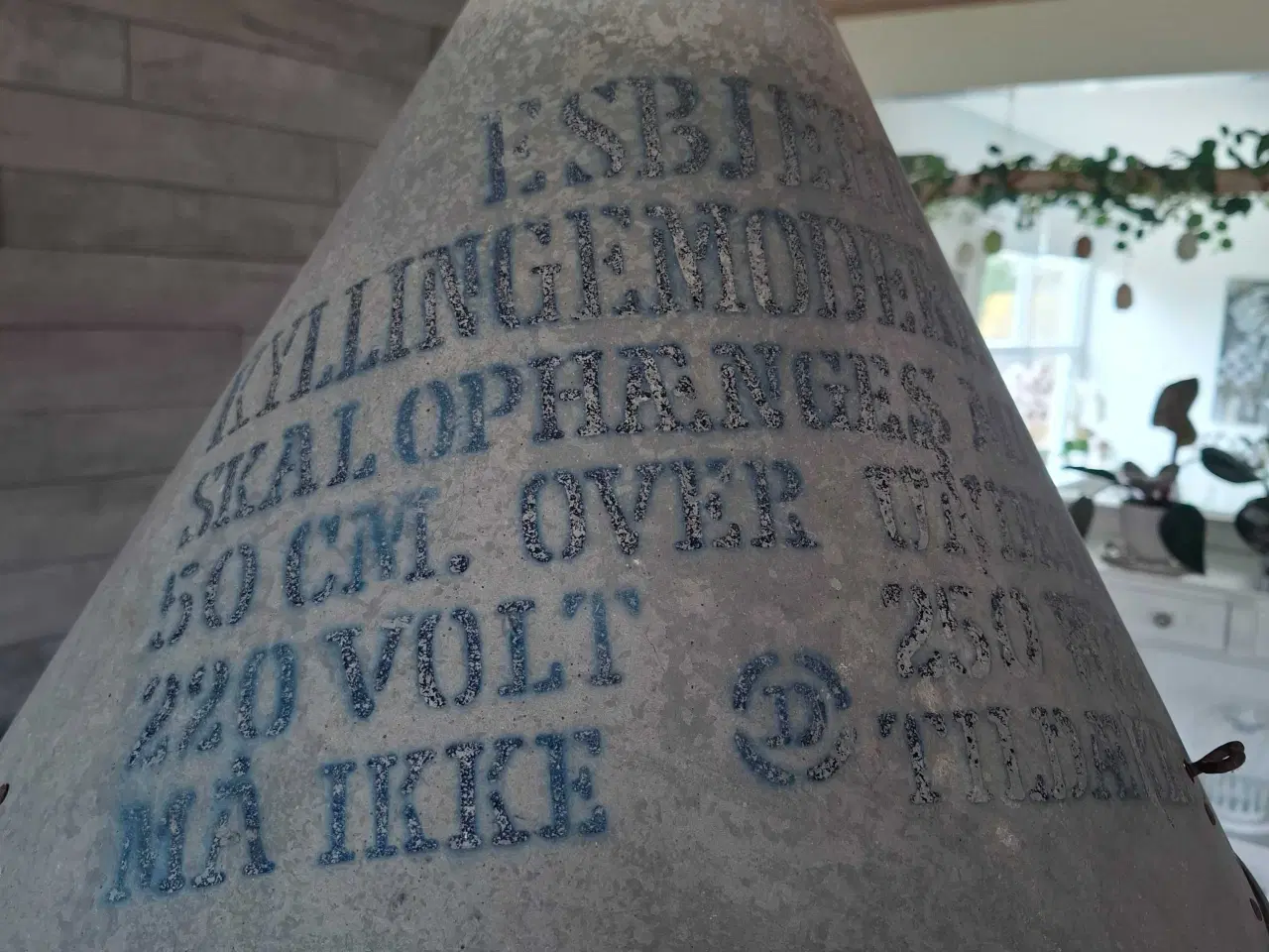 Billede 2 - Kyllinge/griselampe sælges.