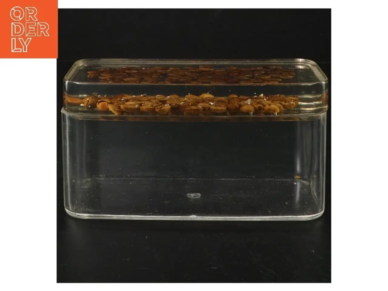 Billede 1 - Gennemsigtig opbevaringsboks