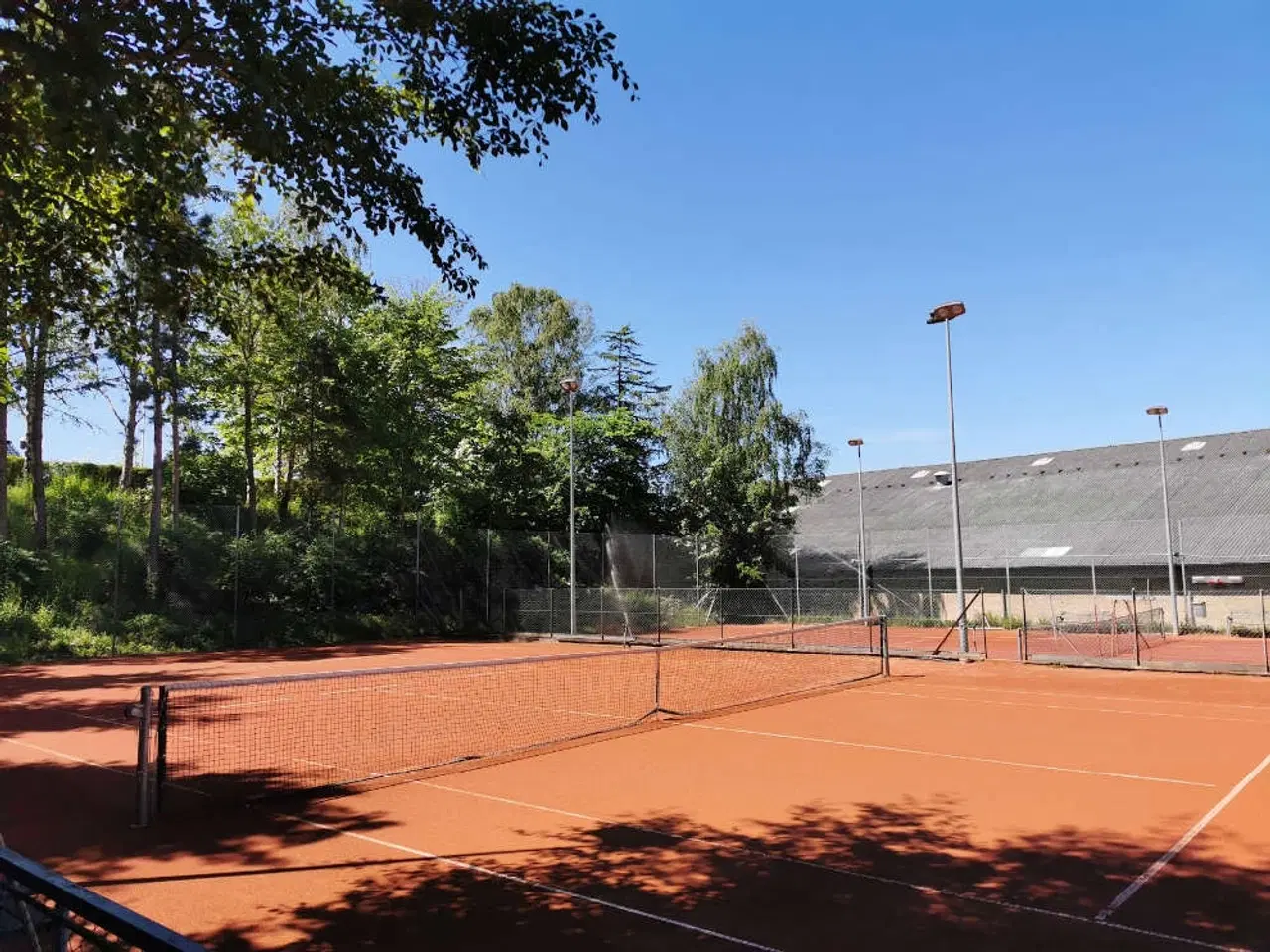 Billede 17 - Tenniskursus for begyndere!! Vejgaard. Øgade.