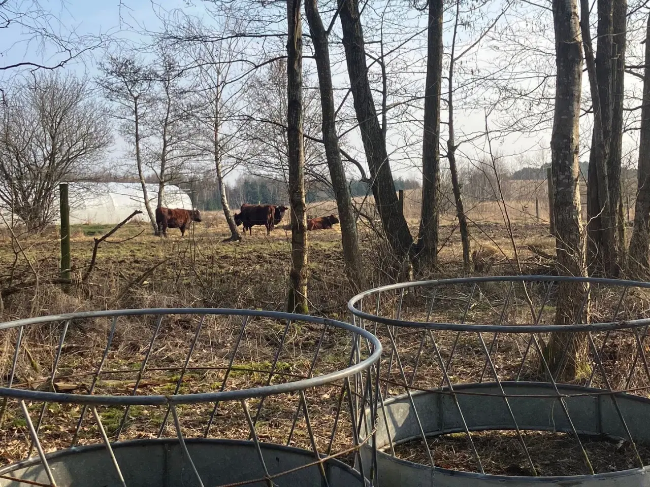 Billede 1 - - - - Høhække til får - 2 stk.