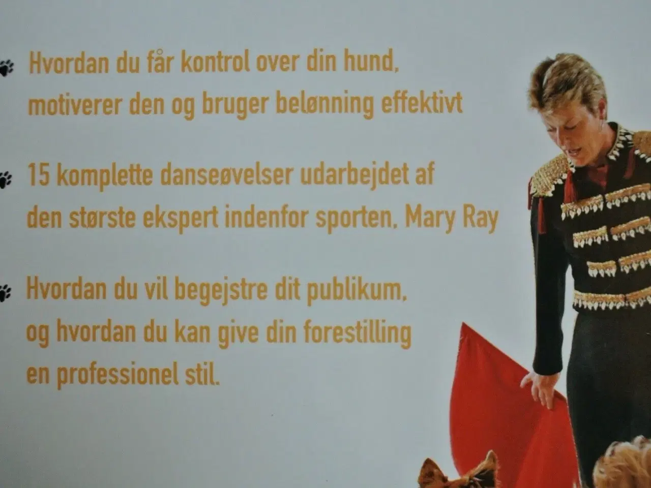 Billede 4 - dans med din hund - lette og sjove øvelser for dig