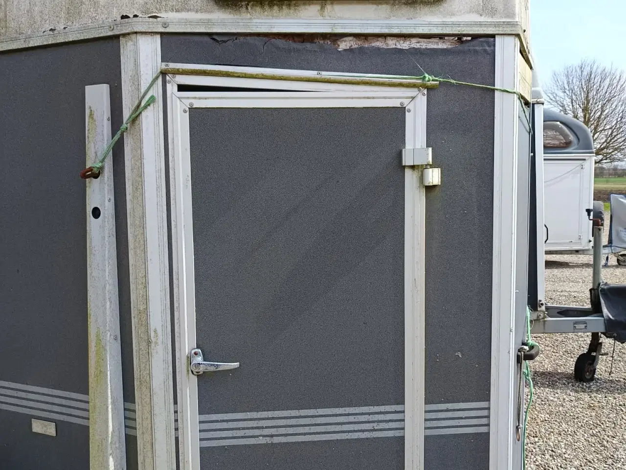 Billede 3 - Single hestetrailer 