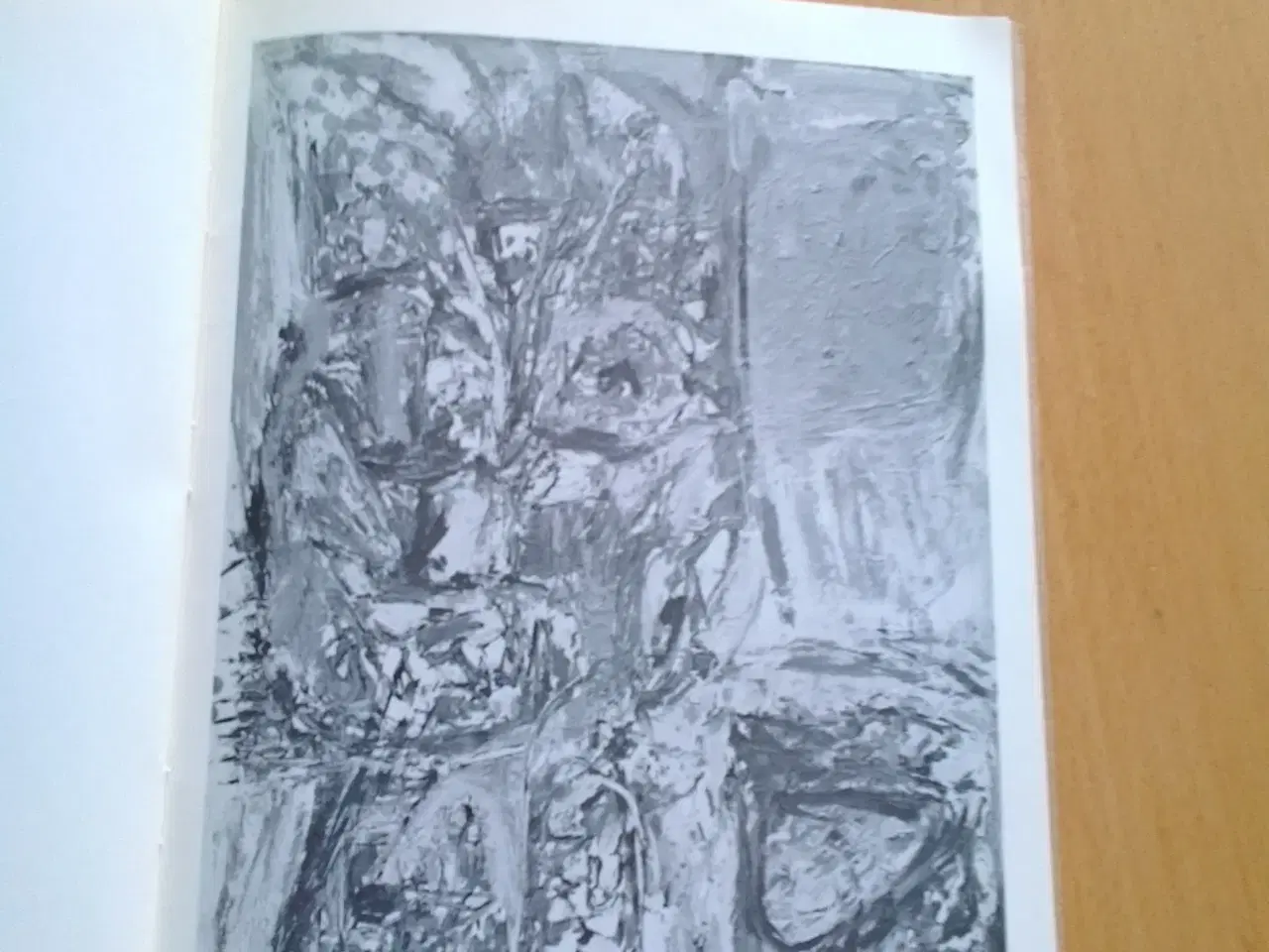 Billede 6 - Hæfte med Jorn billeder