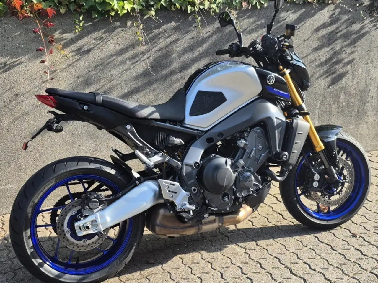 Billede 3 - Yamaha MT-09 SP