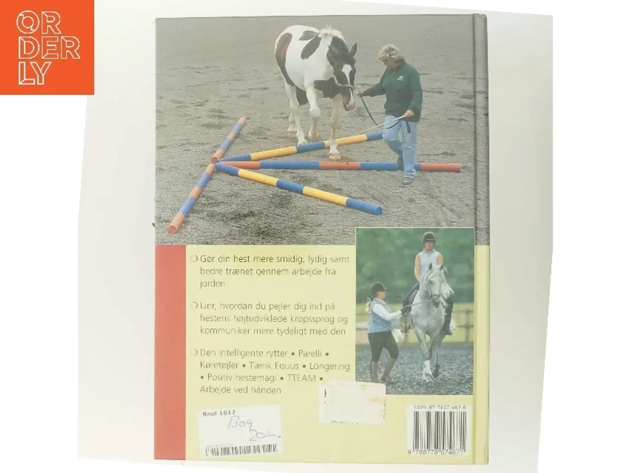 Billede 3 - Hestetræning : arbejd fra jorden af Lesley Bayley (Bog)