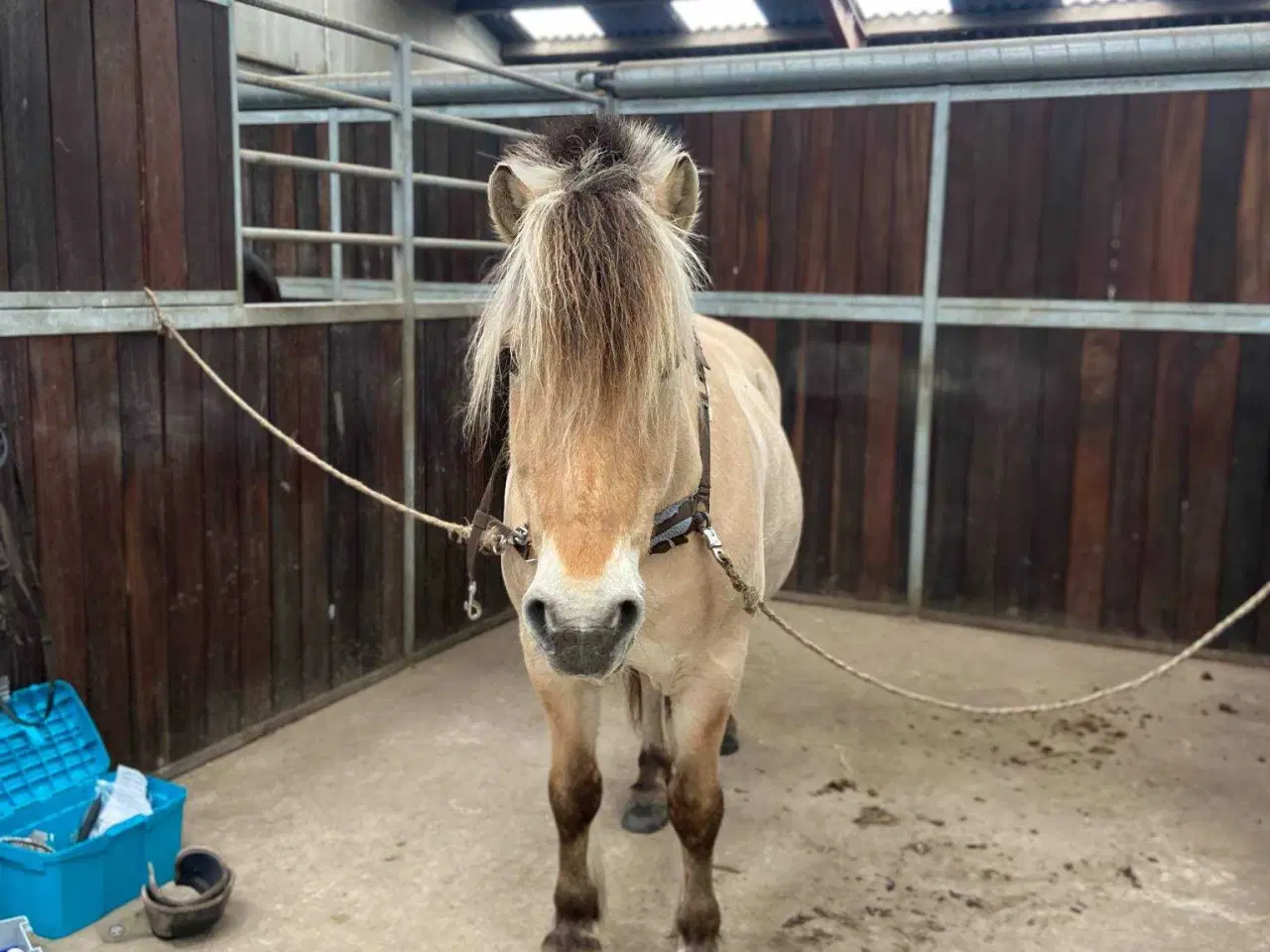 Billede 3 - Skovtur/hygge