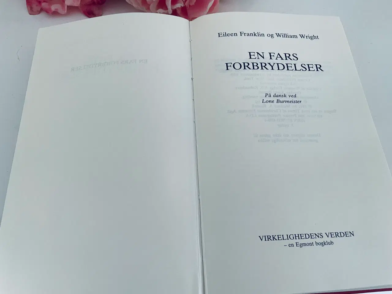 Billede 4 - En fars forbrydelser