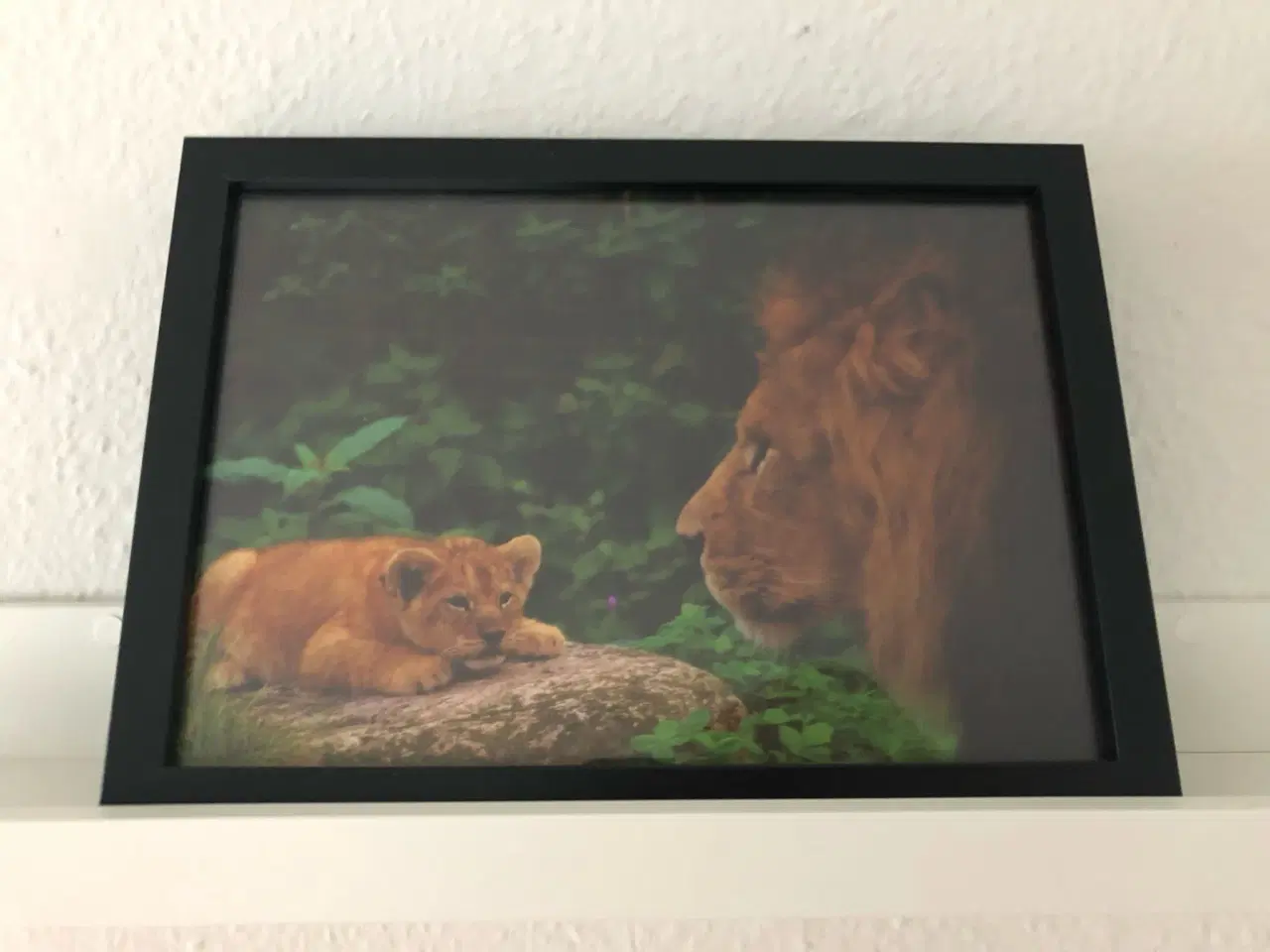 Billede 2 - Plakat Løvefar med søn