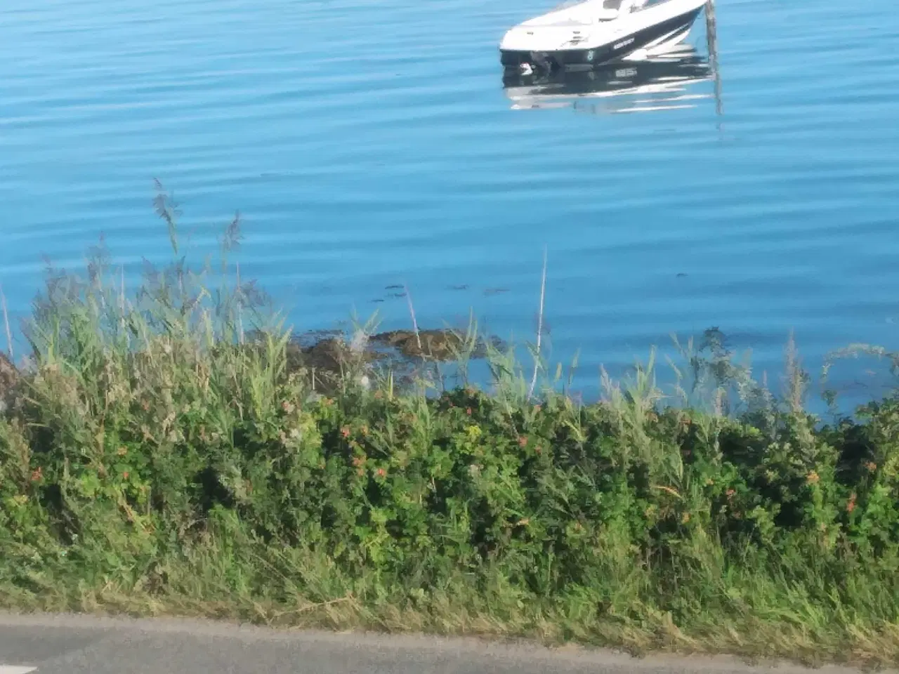 Billede 9 - Speed båd four winns 200 convertible