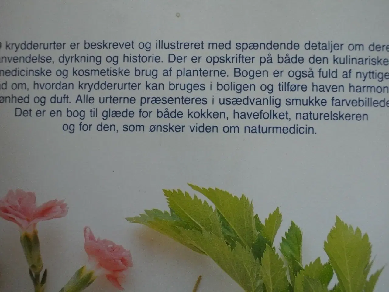 Billede 2 - spanggaards store bog om krydderurter, af ann bona