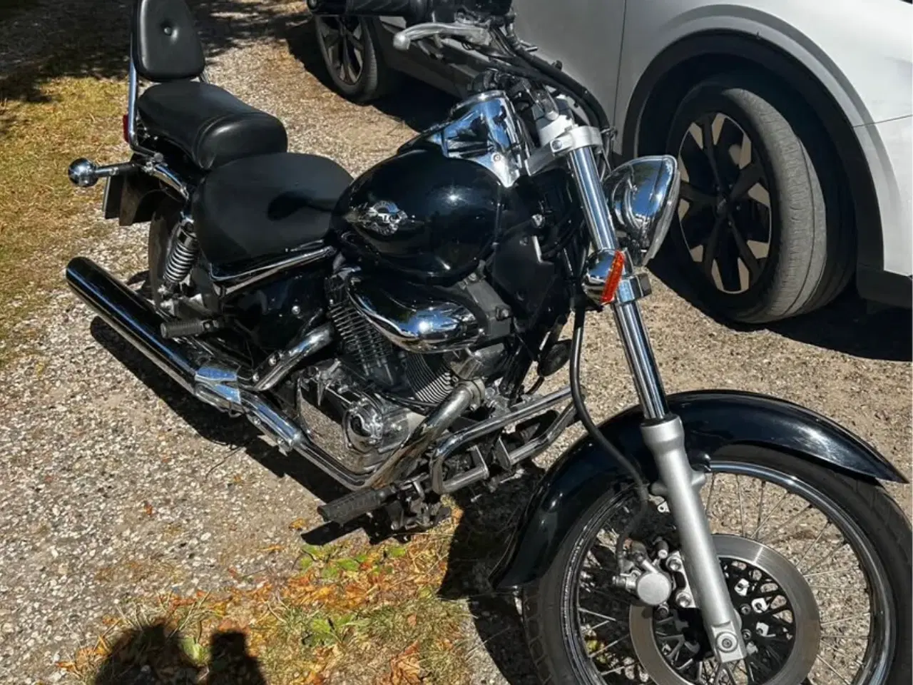 Billede 1 - Suzuki VL 250 intruder