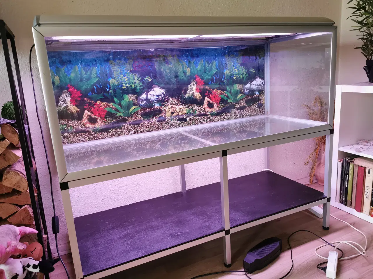 Billede 2 - Akvarium og tilbehør.