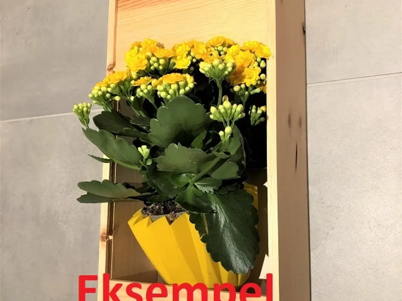 Billede 9 - 2 ens vinkasser i træ.