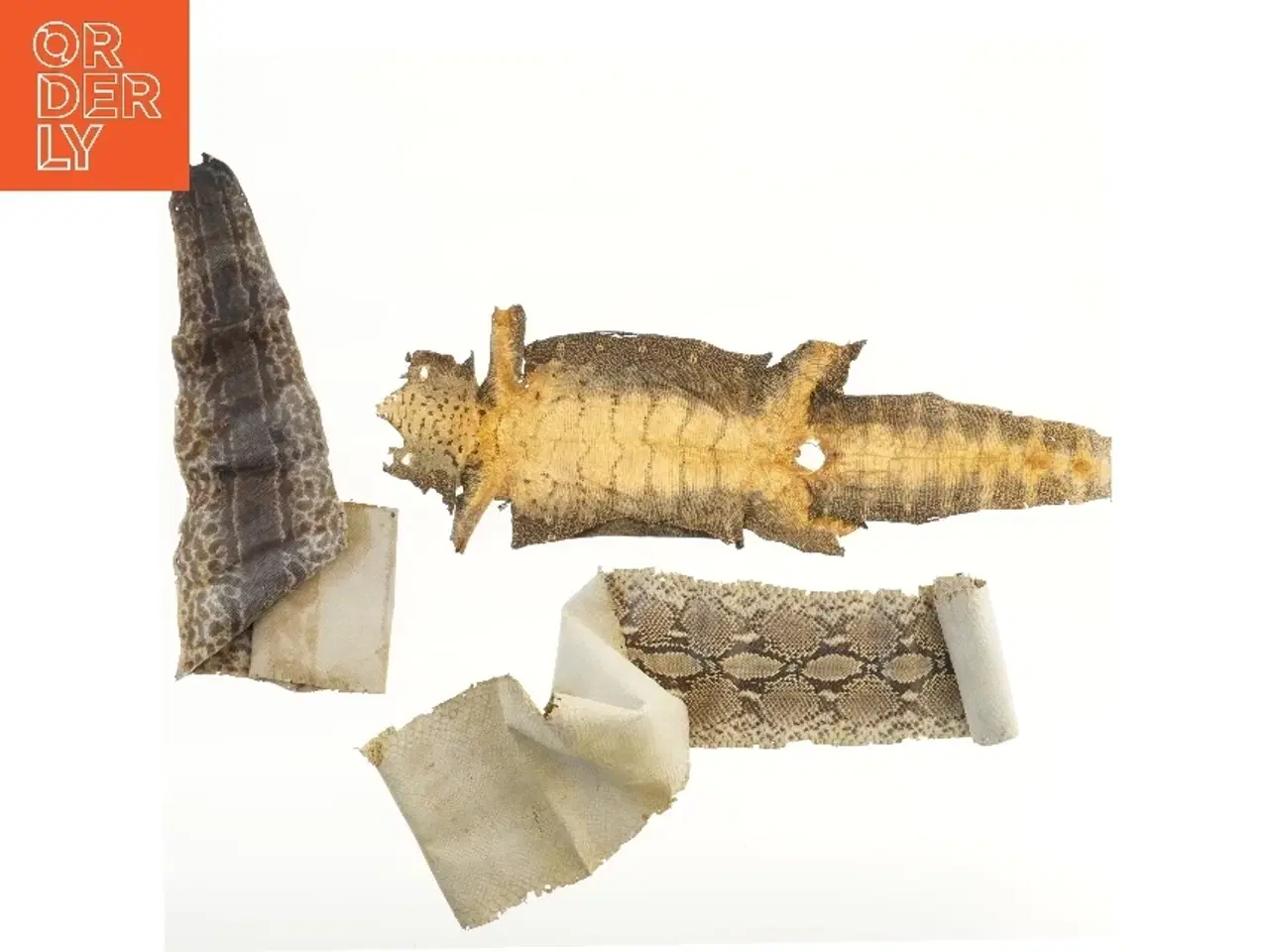 Billede 1 - Slangeskind og krokodilleskind (str. 69 cm)