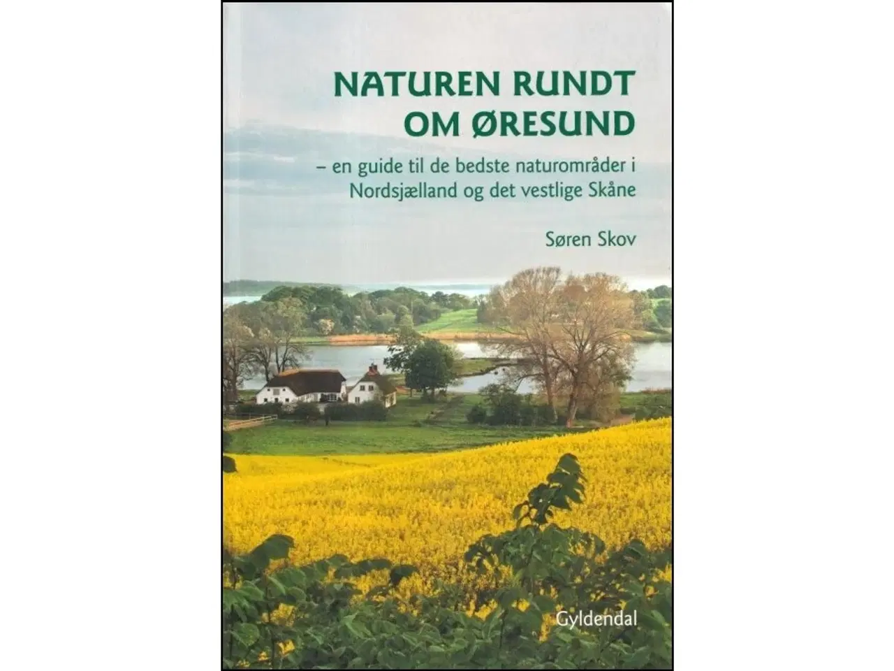 Billede 1 - Naturen rundt om Øresund