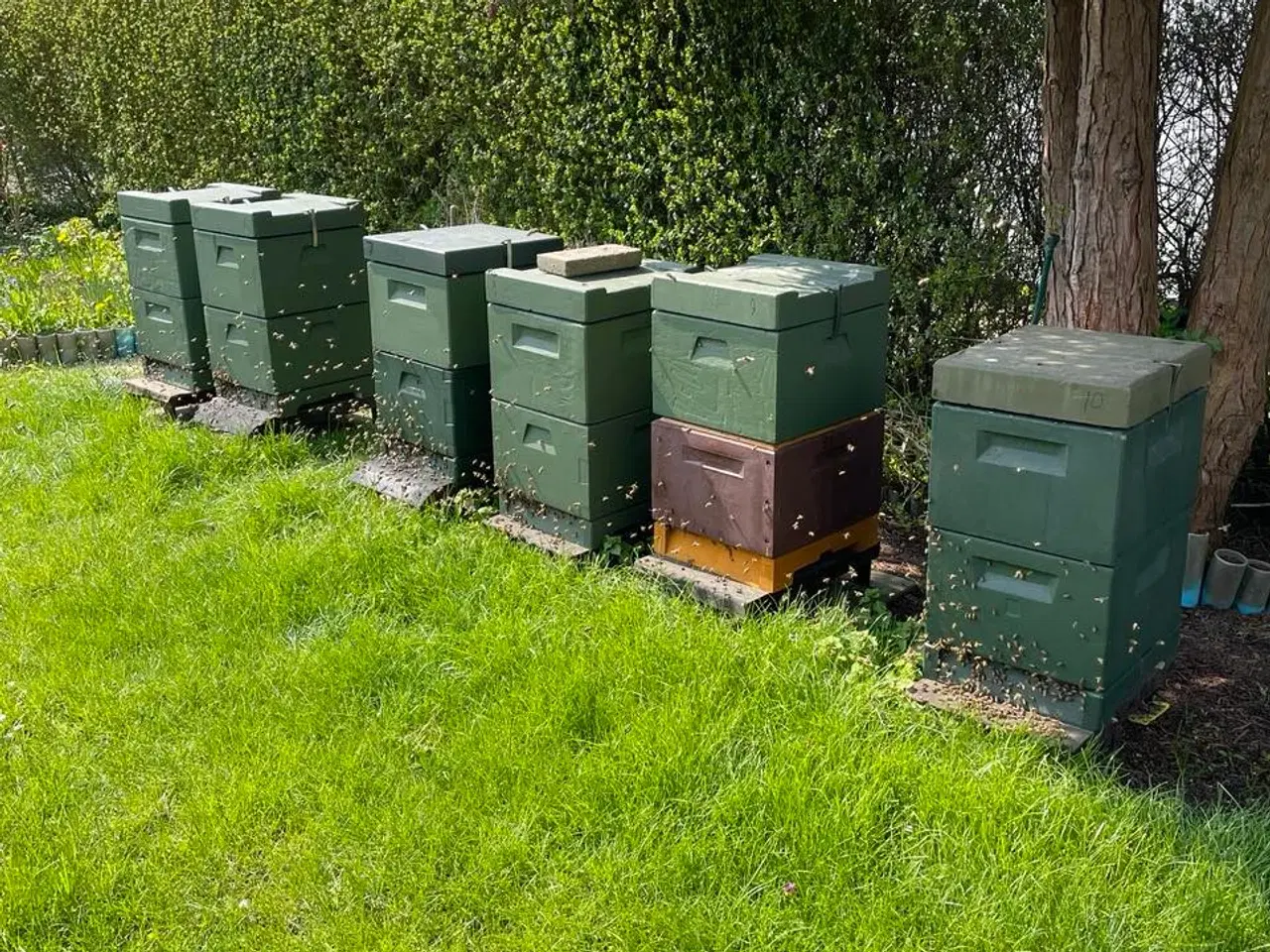 Billede 1 - Bifamilier