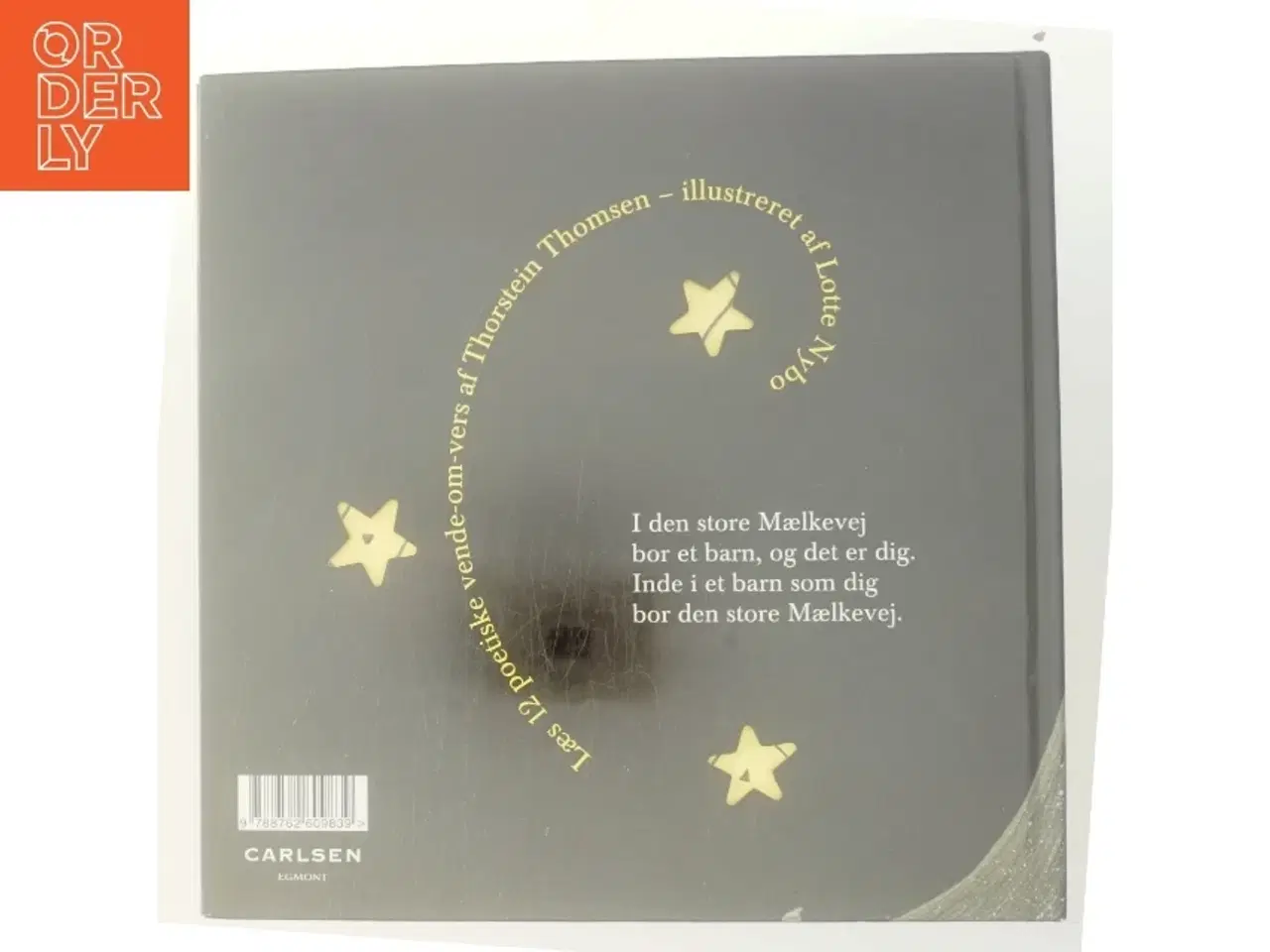 Billede 3 - I den store Mælkevej af Thorstein Thomsen (Bog)