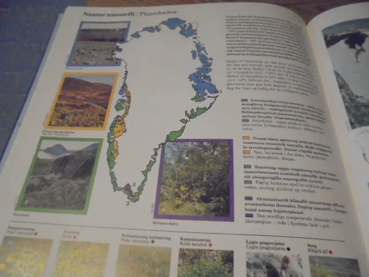 Billede 7 - Kalaallit Nunaat – Atlas – Grønland