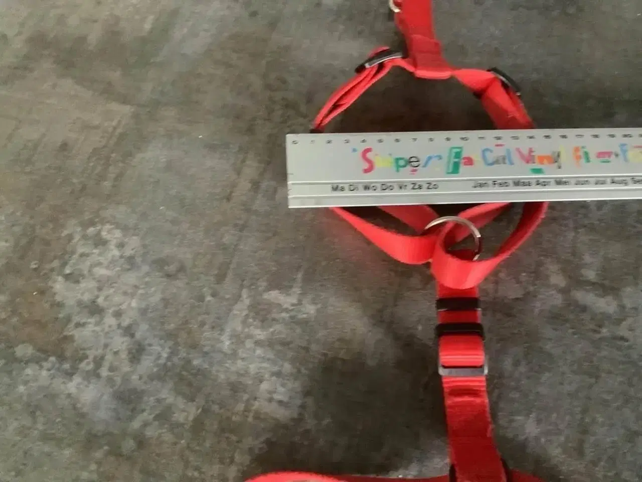 Billede 4 - Hunderem/sele, flere str. 