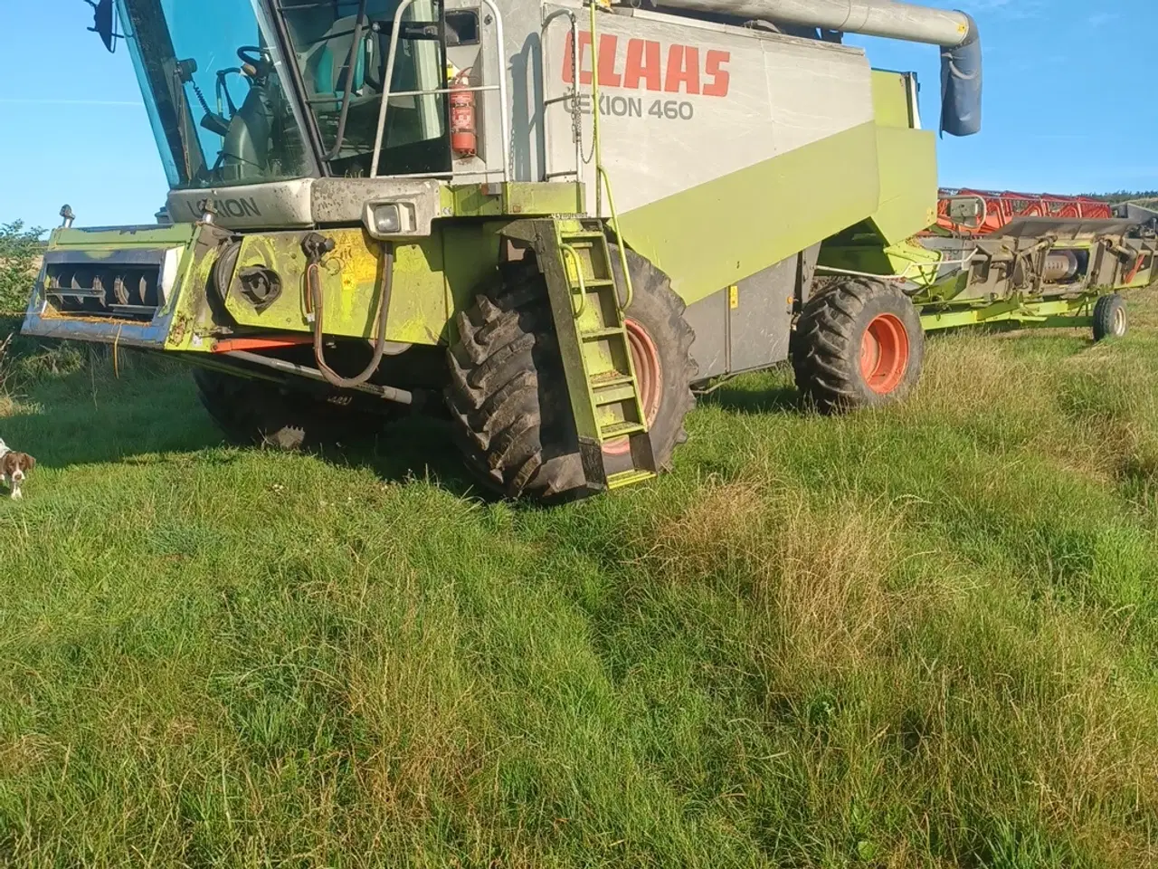 Billede 6 - Mejetærsker Claass lexion 460