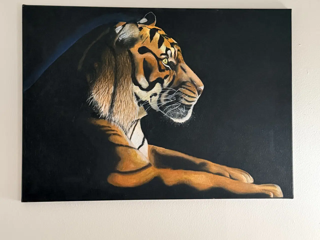 Billede 2 - Tiger - Oliemaleri (70x50 cm)
